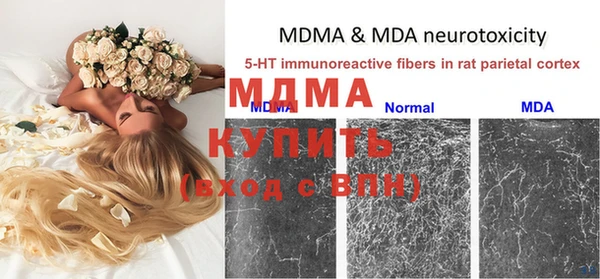 МДПВ Алзамай